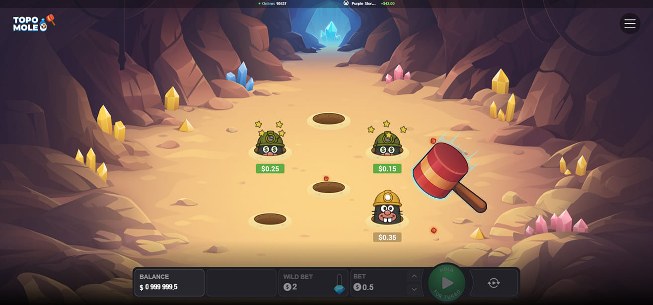 Topo Mole Demo Mode